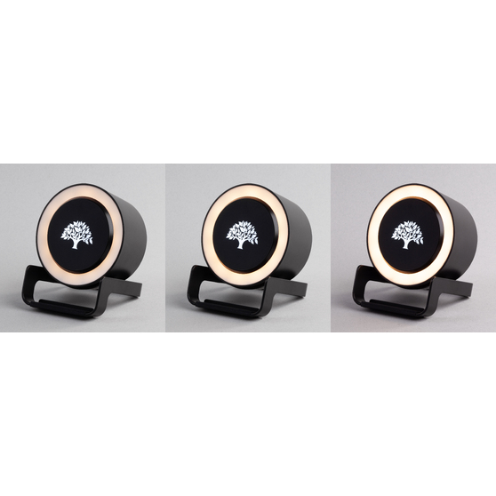 Bluetooth колонка-подставка "Smart Loud" с беспроводным (10W) зарядным устройством, лампой и подсветкой логотипа-6