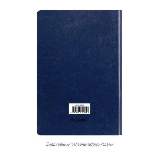 Ежедневник Ривер Сайд (River side) недатированный, синий/оранжевый (без упаковки, без стикера)-9
