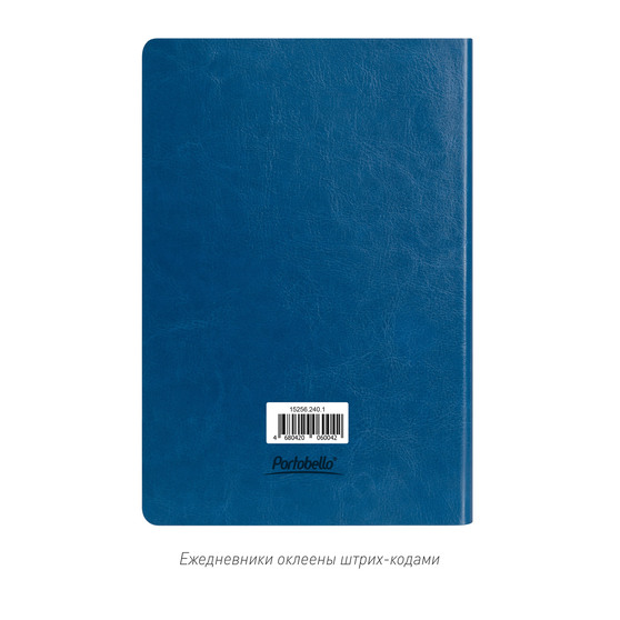 Ежедневник Ривер Сайд (River side) недатированный, лазурный/синий  (без упаковки, без стикера)-9