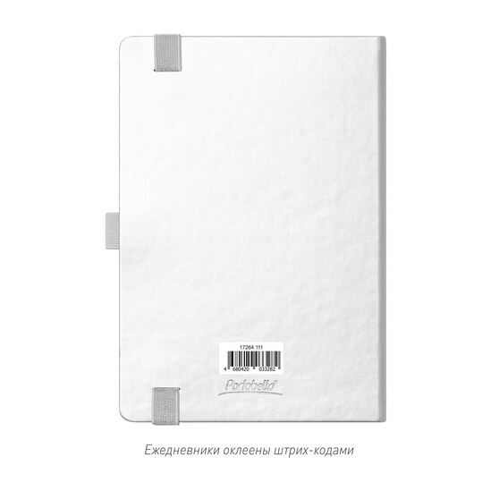Ежедневник Альфа (Alpha) недатированный, серебро/серый-10