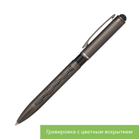 Шариковая ручка АйПи Хамелеон (IP Chameleon), черная-12