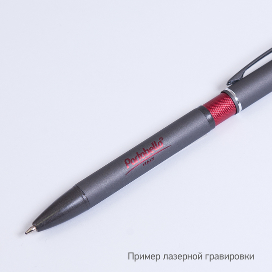 Шариковая ручка АйПи Хамелеон (IP Chameleon), красная-13
