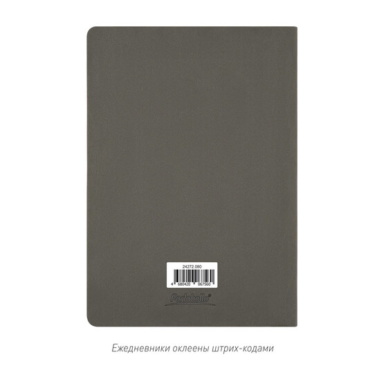 Ежедневник Латте софт-тач (Latte soft touch) недатированный, серый-11