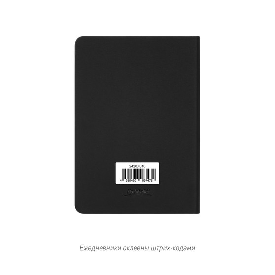 Ежедневник Спарк мини (Spark mini) A6 недатированный, черный-21
