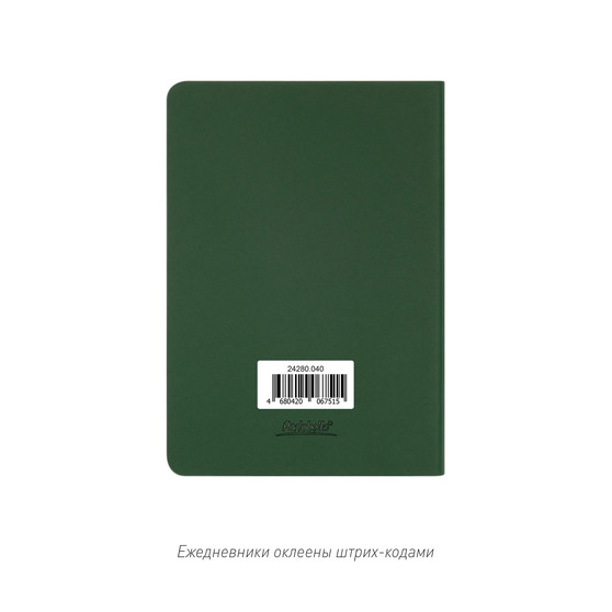 Ежедневник Спарк мини (Spark mini) A6 недатированный, зеленый-9