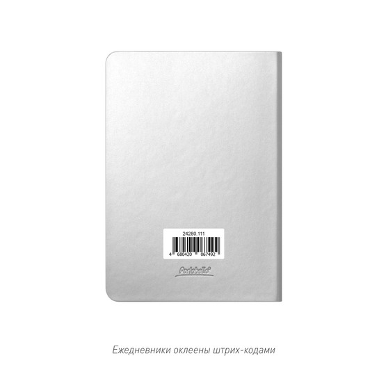 Ежедневник Спарк мини (Spark mini) A6 недатированный, серебряный-23