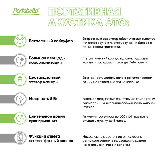 Беспроводная колонка Пэшн (Passion) 80dB 600 mAh (Bluetooth 5.0), серебряная-15