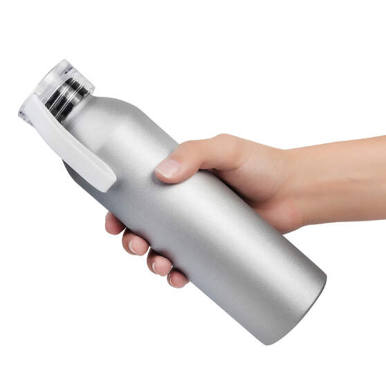 Бутылка для воды VIKING SILVER 650мл. Серебристая с белой крышкой 6141.07-2