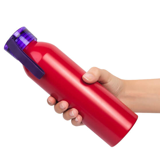 Бутылка для воды VIKING RED 650мл. Красная с фиолетовой крышкой 6144.11-3