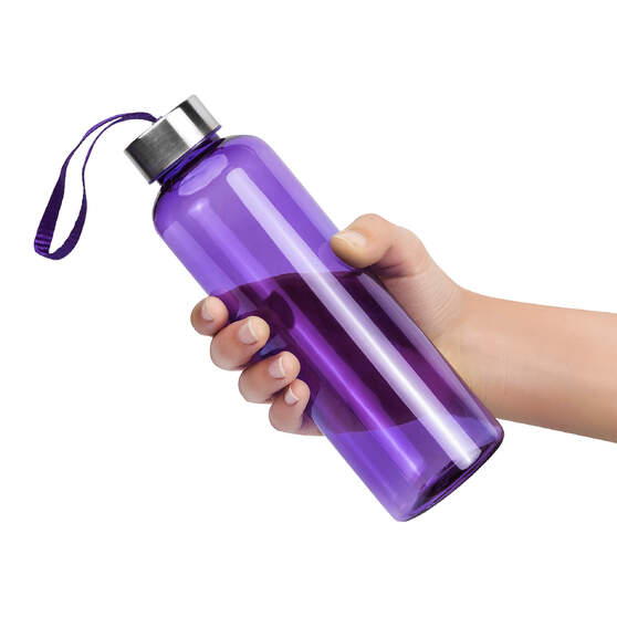 Бутылка для воды VERONA PET COLOR 550мл Фиолетовая с фиолетовым 6261.11-3