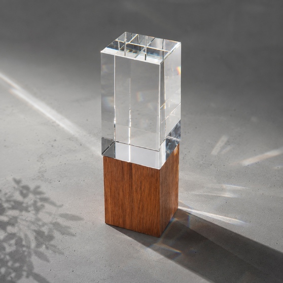 Награда «Wood and glass»